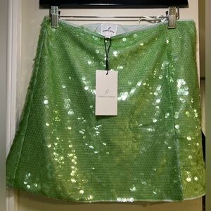 Green Sequence Mini Skirt and Top